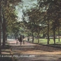 Tinted photographic postcard on paper depicting Minnesota Street in St. Paul's Central Park, c.1895.