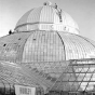 Black and white photograph of restoration work being done on the Conservatory, ca. 1953.