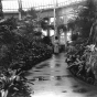 Black and white photograph of the Palm Dome interior, 1918.