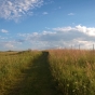 Color image of the Mound hiking trail, 2014. From the photograph collection of the Minnesota Department of Natural Resources. 