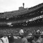 Black and white photograph of Fans at the Beatles concert, Metropolitan Stadium, 8/21/1965. Photograph: Sully, St. Paul Dispatch & Pioneer Press.