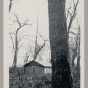 A house on the Red Lake Indian Reservation, 1934