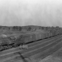 Black and white photograph of a Minneapolis, Northfield and Southern Railway freight train, 1929.