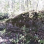 Nerstrand Big Woods State Park limestone, undated. Limestone quarried from the park was used to build local house houses, churches, and businesses. Used with the permission of Rice County Historical Society.