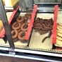 Meat case containing bologna and wieners inside Nerstrand Meats and Catering, 2019. Photo by Jeff M. Sauve.