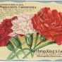 Postcard advertising Northrup, King and Company carnations