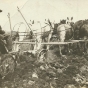 Black and white photograph of a worker using horses to plow the fields at the Northwest Experiment Station, 1912.