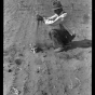 Black and white photograph of a combination of cut worms and heat has destroyed the corn on this farm, six miles east of Appleton in Swift County, 1936.