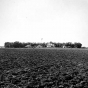 Black and white photograph of a farm in windbreak near Lamberton, Redwood County, 1936. Photograph by Napoleon Noel Nadeau.