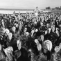 Black and white photograph of a turkey farm at Worthington, Minnesota, ca. 1960. 