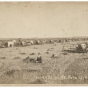 Wheat harvest at G.S. Barnes and Company farm