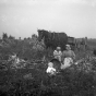 Women and children among corn shocks, McLeod County, ca. 1900.