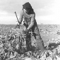 Black and white photograph of a Sugar beet worker near Fisher, Minnesota, photographed by Russell Lee in October 1937.