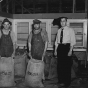 Black and white photograph of WPA workers with grasshopper bait for distribution to farmers, 1937.