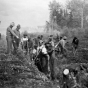 Black and white photograph of African American Civilian Conservation Corps fire fighters, northern Minnesota, ca. 1933. Photographed by the St. Paul Dispatch.