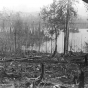 Fire damage in Superior National Forest