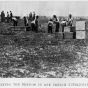 Burying ninety victims in one trench following the Hinckley fire, September, 1894. 