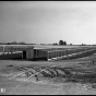 Rearing pens at the Carlos Avery Game Farm