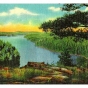 Superior National Forest postcard