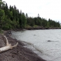 Superior National Forest shoreline