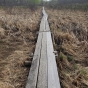 A Savanna Portage boardwalk installed to help travelers traverse a swamp, 2018. Photograph by Jon Lurie; used with the permission of Jon Lurie.