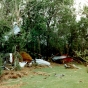 Tin debris caught in tree branches and in vegetation in the aftermath of the Chandler–Lake Wilson Tornado, June 1992.