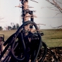 Tubing debris wrapped around a tree in the aftermath of the Chandler–Lake Wilson Tornado, June 1992.