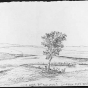 Wood Lake. Battle Field. 43 Mls. from Fort Ridgley [i.e. Ridgely]