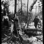 Workers cutting timber