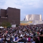 Audience at the International Cat Video Festival