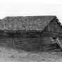 Cattle barn