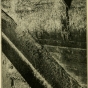 Black and white photograph of a wall of a poorly kept flour mill with accumulations of flour webbed by a flour moth. U.S. Department of Agriculture, 1913.