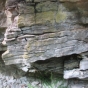 Color image of a Platteville limestone seam in Fort Snelling State Park, 2016. Photograph by Paul Nelson. 