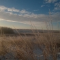 Color image of a frozen prairie with distant bison herd, 2014. From the photograph collection of the Minnesota Department of Natural Resources. 