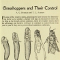 Diagram of a grasshopper hatching. Published in University of Minnesota Extension Bulletin 194, revised June 1940.