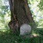 Color image of a headstone set into the base of a tree at Pioneers and Soldiers Memorial Cemetery in Minneapolis, 2016. Photographed by Paul Nelson.