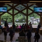 Viewing area at the International Wolf Center