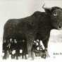 Babe the Blue Ox statue, 1938