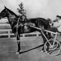 Dan Patch and driver