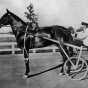Dan Patch and driver