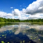 Cedar Bog Lake