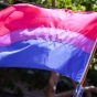 Bisexual pride flag