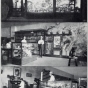 Views of Lippincott’s Seed Store
