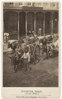 Black and white photograph of a man and a Red River cart train, ca. 1859. Photograph by Martin’s Gallery.