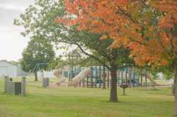 Photograph of Selvig Park