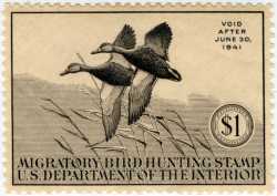 Federal Duck Stamp Design