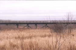 Minnesota and International Railway trestle bridge, facing southeast