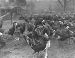 Black and white photograph of a woman and turkeys, ca. 1930. Photograph by Minneapolis Star Journal Tribune.