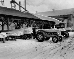 Sawmill on the Red Lake Indian Reservation