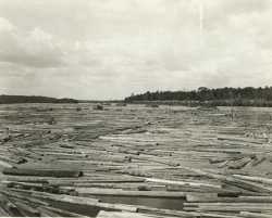 Hot pond and log storage for the new mill of the Northern Lumber Company